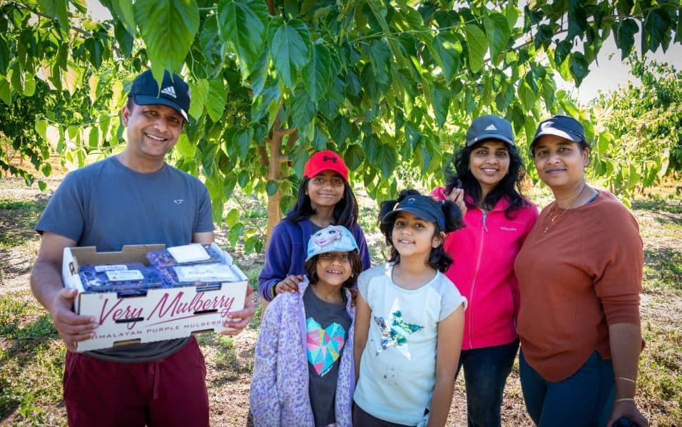 Una familia de seis sostiene una caja de Very Mulberry bajo los árboles, con tres niñas con gorras de colores