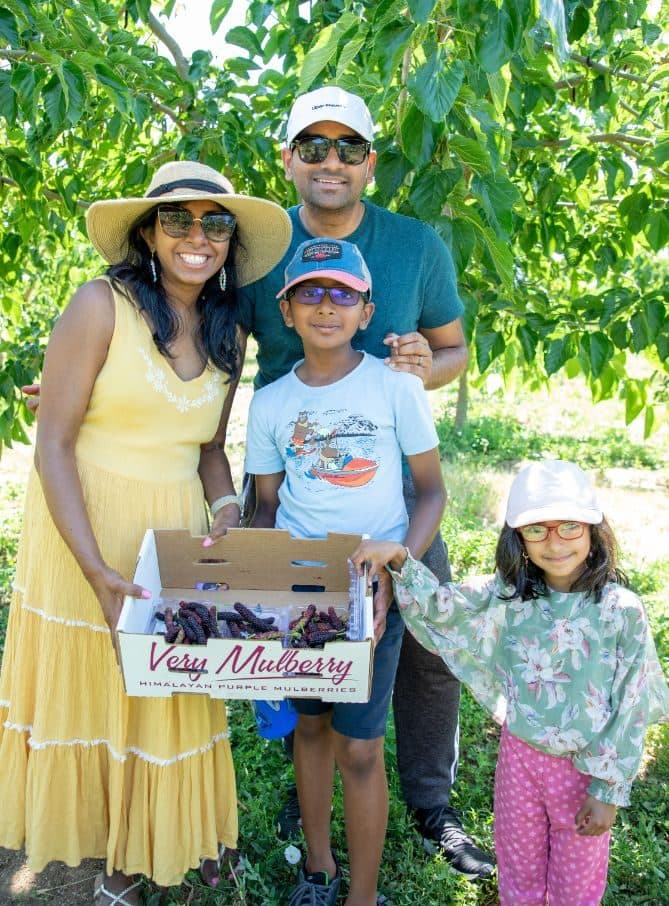 Una familia de cuatro sostiene una caja abierta de Very Mulberry, la mamá con vestido veraniego amarillo y sombrero