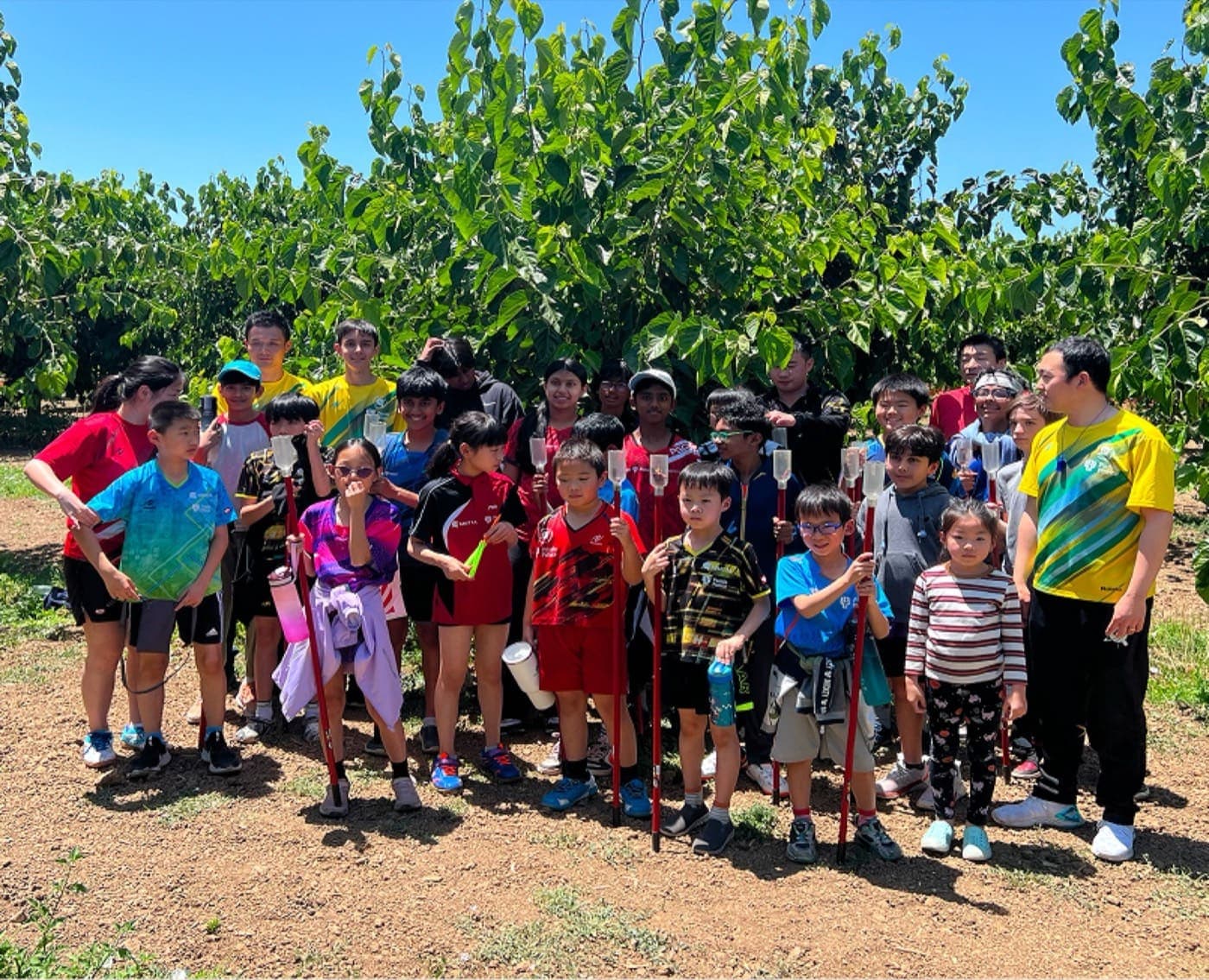 Un gran grupo de niños con camisetas deportivas de colores posa con varas para recoger moras en una foto grupal en el huerto
