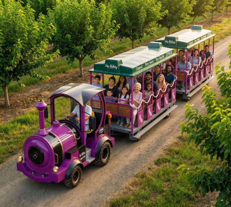 Families and farm staff riding the purple Very Mulberry Express train through the orchard, Brentwood, CA