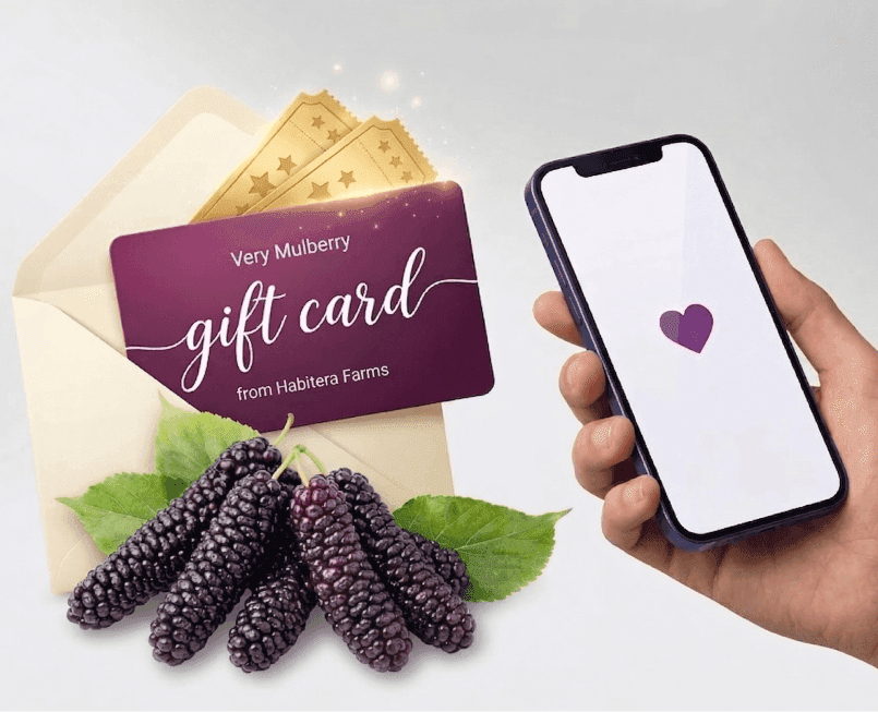 Very Mulberry gift card in an envelope with gold tickets, fresh mulberries, and a hand holding a phone, Brentwood, CA