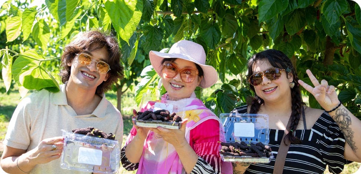 Tres visitantes sonrientes en el huerto sosteniendo envases de moras recién cosechadas
