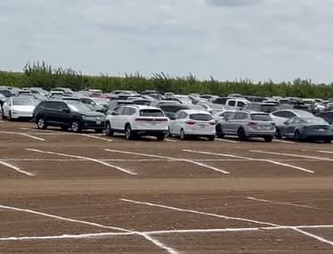 Filas de autos estacionados en espacios marcados en el estacionamiento de tierra de la granja