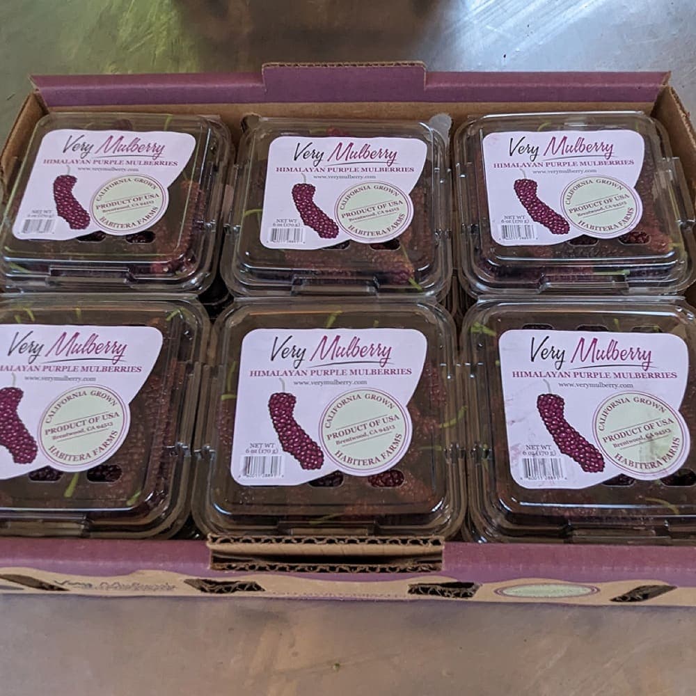 Коробка из шести контейнеров со свежеупакованными ягодами Very Mulberry